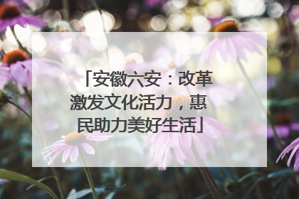 安徽六安：改革激发文化活力，惠民助力美好生活