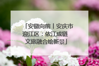 安徽向前丨安庆市迎江区：依江成链 文旅融合绘新景