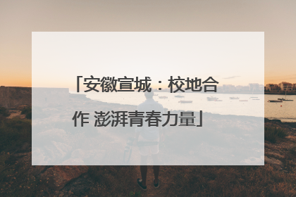安徽宣城：校地合作 澎湃青春力量