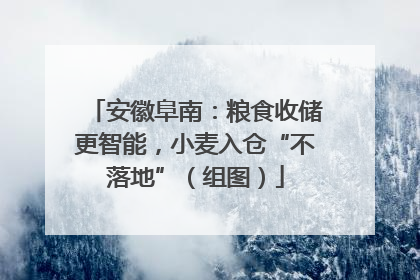 安徽阜南：粮食收储更智能，小麦入仓“不落地”（组图）