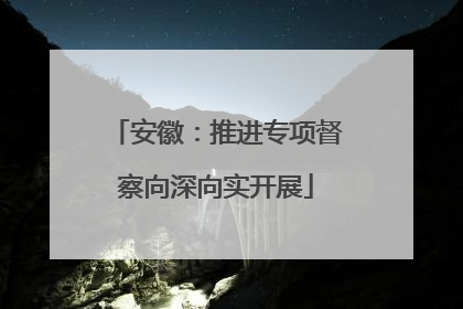 安徽：推进专项督察向深向实开展