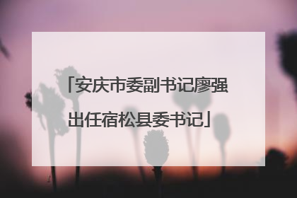 安庆市委副书记廖强出任宿松县委书记