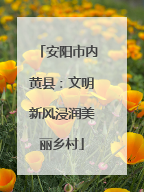 安阳市内黄县：文明新风浸润美丽乡村