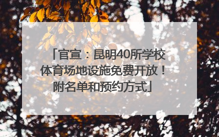 官宣：昆明40所学校体育场地设施免费开放！附名单和预约方式