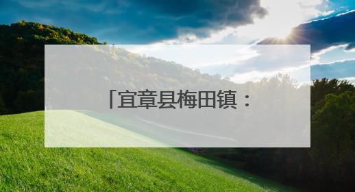 宜章县梅田镇：灵芝朵朵开 撑开“致富花”