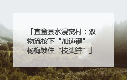 宜章县水浸窝村：双物流按下“加速键” 杨梅锁住“枝头鲜”