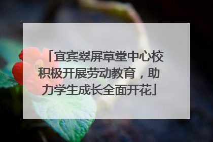 宜宾翠屏草堂中心校积极开展劳动教育，助力学生成长全面开花
