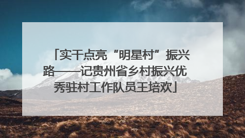 实干点亮“明星村”振兴路——记贵州省乡村振兴优秀驻村工作队员王培欢