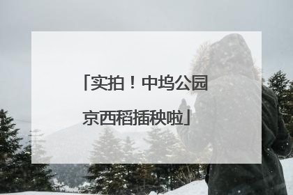 实拍！中坞公园京西稻插秧啦