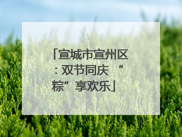 宣城市宣州区：双节同庆 “粽”享欢乐