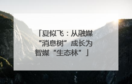 夏似飞：从融媒“消息树”成长为智媒“生态林”