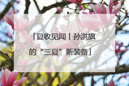 夏收见闻丨孙洪旗的“三夏”新装备