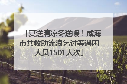 夏送清凉冬送暖！威海市共救助流浪乞讨等遇困人员1501人次