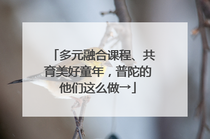 多元融合课程、共育美好童年，普陀的他们这么做→