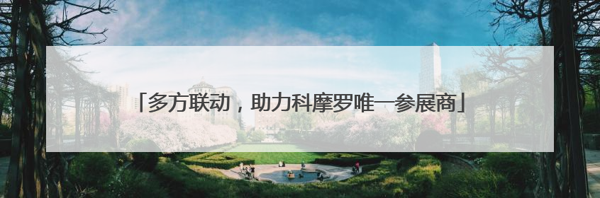 多方联动，助力科摩罗唯一参展商