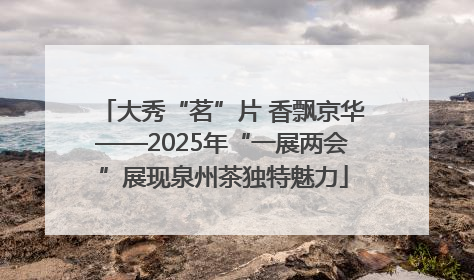 大秀“茗”片 香飘京华——2025年“一展两会”展现泉州茶独特魅力