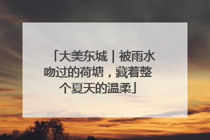 大美东城｜被雨水吻过的荷塘，藏着整个夏天的温柔