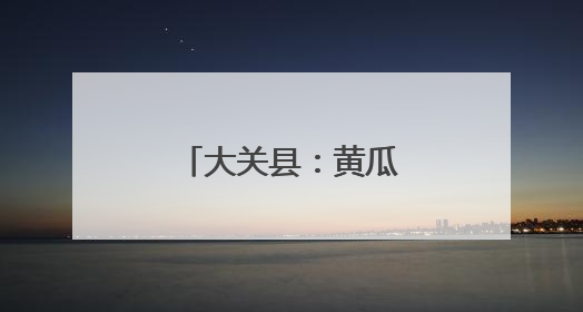 大关县：黄瓜触网销路宽