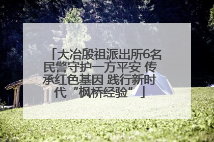 大冶殷祖派出所6名民警守护一方平安 传承红色基因 践行新时代“枫桥经验”