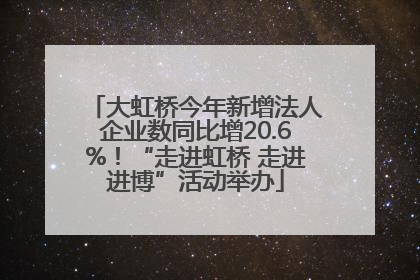 大虹桥今年新增法人企业数同比增20.6%！“走进虹桥 走进进博”活动举办