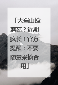 大蜀山捡蘑菇？近期疯长！官方提醒：不要随意采摘食用