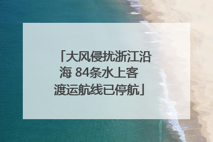 大风侵扰浙江沿海 84条水上客渡运航线已停航