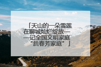 天山的一朵雪莲在聊城灿烂绽放——记全国文明家庭“詹春芳家庭”