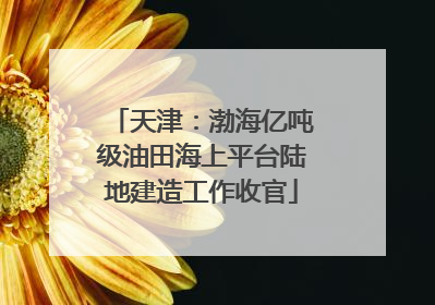 天津：渤海亿吨级油田海上平台陆地建造工作收官
