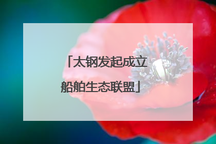 太钢发起成立船舶生态联盟
