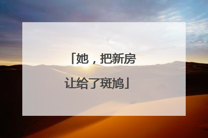 她，把新房让给了斑鸠