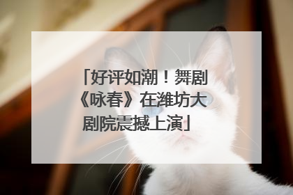 好评如潮！舞剧《咏春》在潍坊大剧院震撼上演