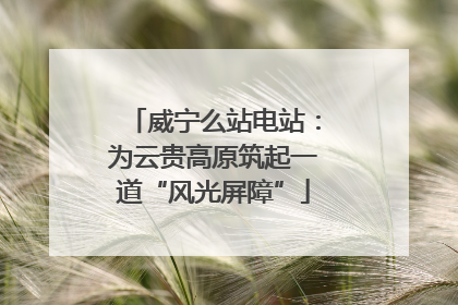 威宁么站电站：为云贵高原筑起一道“风光屏障”