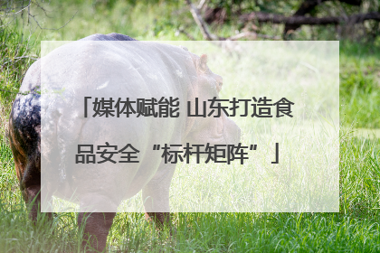 媒体赋能 山东打造食品安全“标杆矩阵”