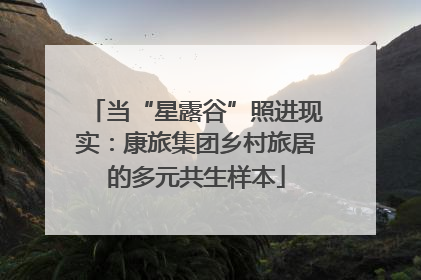 当“星露谷”照进现实：康旅集团乡村旅居的多元共生样本