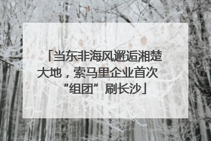 当东非海风邂逅湘楚大地，索马里企业首次“组团”刷长沙