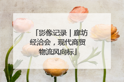 影像记录｜廊坊经洽会，现代商贸物流风向标
