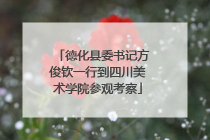 德化县委书记方俊钦一行到四川美术学院参观考察