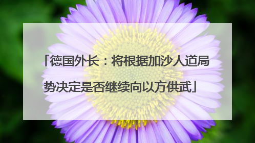 德国外长：将根据加沙人道局势决定是否继续向以方供武