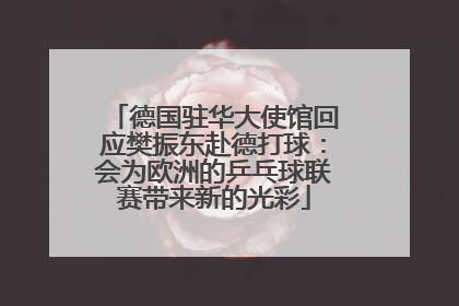 德国驻华大使馆回应樊振东赴德打球：会为欧洲的乒乓球联赛带来新的光彩