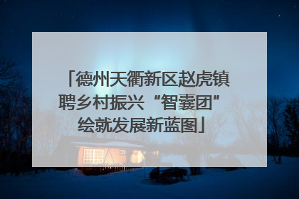 德州天衢新区赵虎镇聘乡村振兴“智囊团” 绘就发展新蓝图
