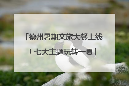 德州暑期文旅大餐上线！七大主题玩转一夏
