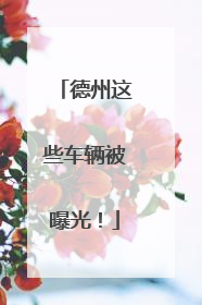 德州这些车辆被曝光！