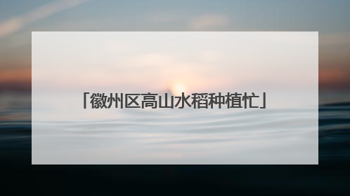 徽州区高山水稻种植忙