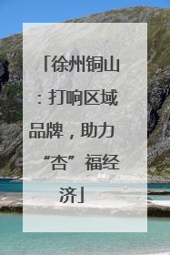 徐州铜山：打响区域品牌，助力“杏”福经济