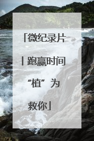 微纪录片丨跑赢时间 “植”为救你