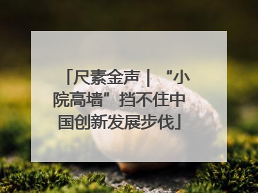尺素金声｜“小院高墙”挡不住中国创新发展步伐