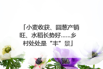 小麦收获、圆葱产销旺、水稻长势好……乡村处处是“丰”景