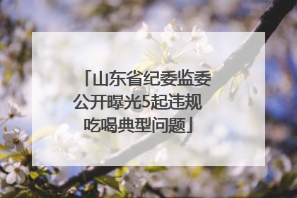 山东省纪委监委公开曝光5起违规吃喝典型问题