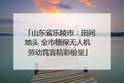 山东省乐陵市：田间地头 全市植保无人机劳动竞赛精彩纷呈