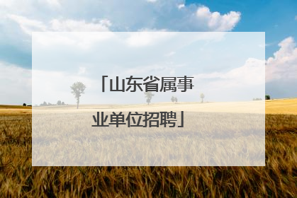 山东省属事业单位招聘